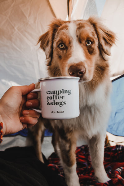 tips for camping with your dog this summer